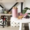 imageBone Dry Lattice Collection Pet Bowl ampamp Canister Treat Canister 4x65quot Nautical BlueRose
