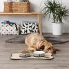 imageBone Dry Paw ampamp Patch Ceramic Pet Collection Large Set 75x24quot Nautical Blue Pack of 2Black
