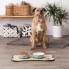 imageBone Dry Paw ampamp Patch Ceramic Pet Collection Large Set 75x24quot Nautical Blue Pack of 2Hunter Green