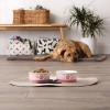 imageBone Dry Paw ampamp Patch Ceramic Pet Collection Large Set 75x24quot Nautical Blue Pack of 2Rose