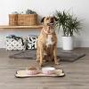 imageBone Dry Paw ampamp Patch Ceramic Pet Collection Large Set 75x24quot Nautical Blue Pack of 2Rose