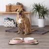 imageBone Dry Paw ampamp Patch Ceramic Pet Collection Large Set 75x24quot Nautical Blue Pack of 2Rose
