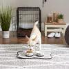 imageBone Dry Pet Bowl Collection Ceramic Set Small Marble 2 Count WhiteWhite