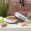 imageBone Dry Pet Bowl Collection Ceramic Set Small Marble 2 Count WhiteWhite