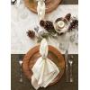 imageDII Velvet Collection Tabletop Table Runner 14x108 CreamCream
