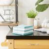 imageDII Basic Terry Collection Cotton Chef Dishcloth 12x12 Eggplant 6 PieceRobins Egg Blue