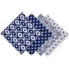Tunisian Indigo Prints