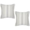 Bold Chambray Stripe  Gray