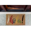 image:imageDII Natural Coir Doormat Decorative Hello Mat 17x29 Aloe ThereHola