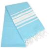 Variegated Stripe Aqua