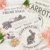 image:imageDII Cottontail Cottage Spring Kitchen Collection DishtowelDishcloth Set Daisy Dobby 6 CountOversized Flour Sack
