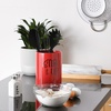 image:imageDII Kitchen Accessories Retro Collection Ceramics Utensil Holder Red